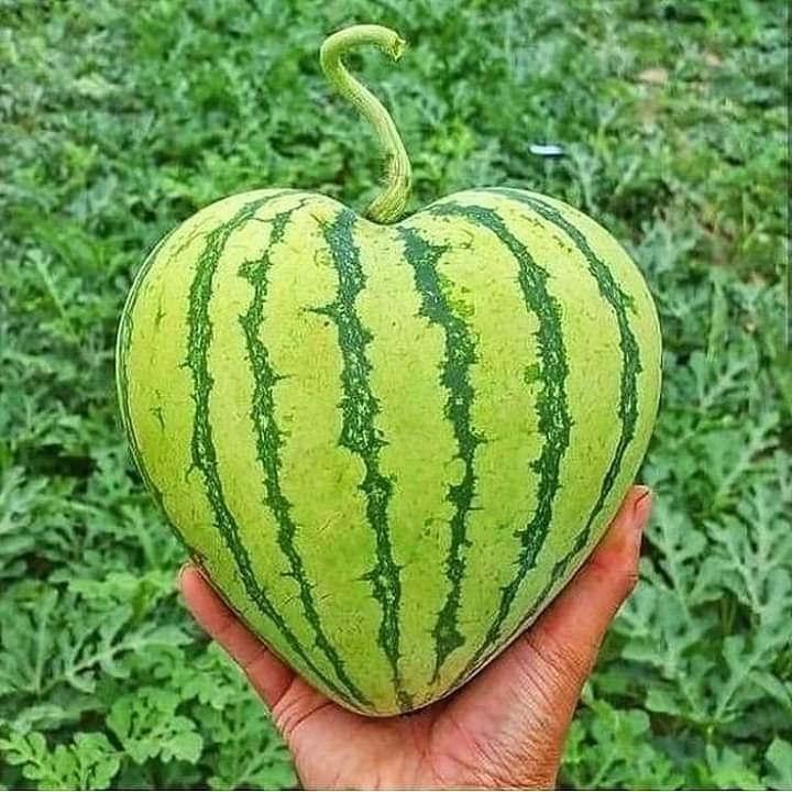 Que maravilha ?