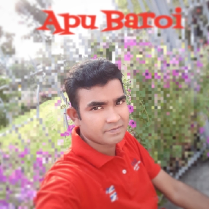 Apu Baroi{me}