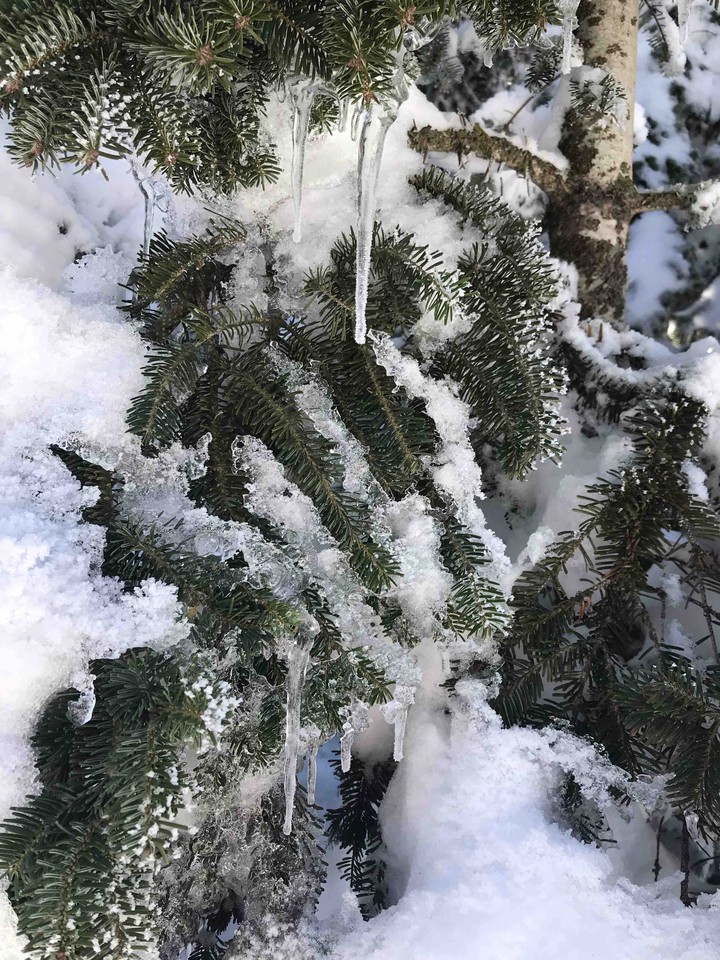 winter in Uludağ