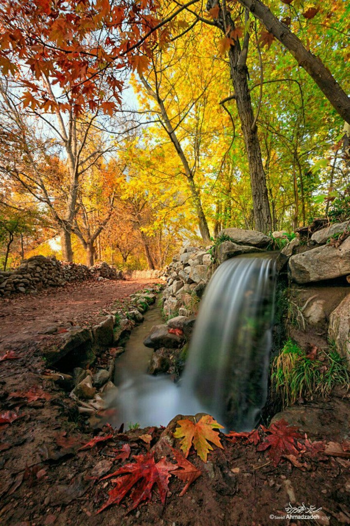 giyan in iran