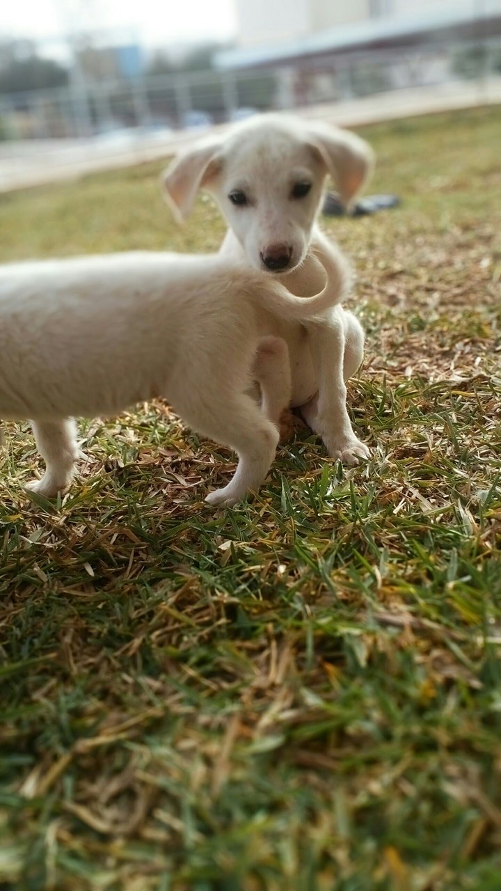 Take a picture of me