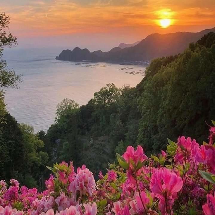 nature