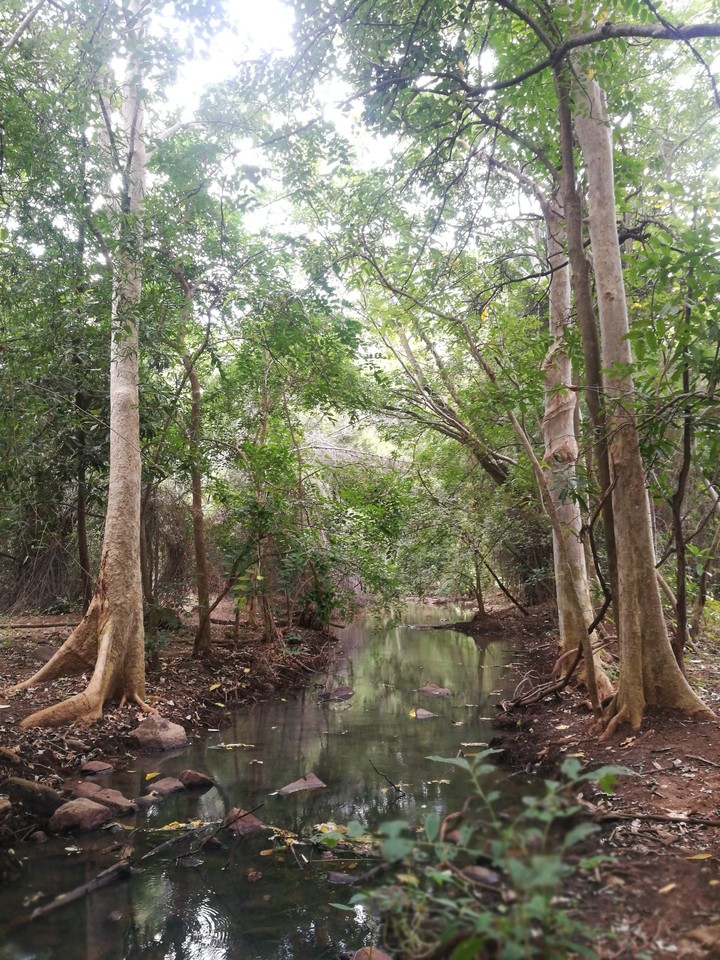 water trail