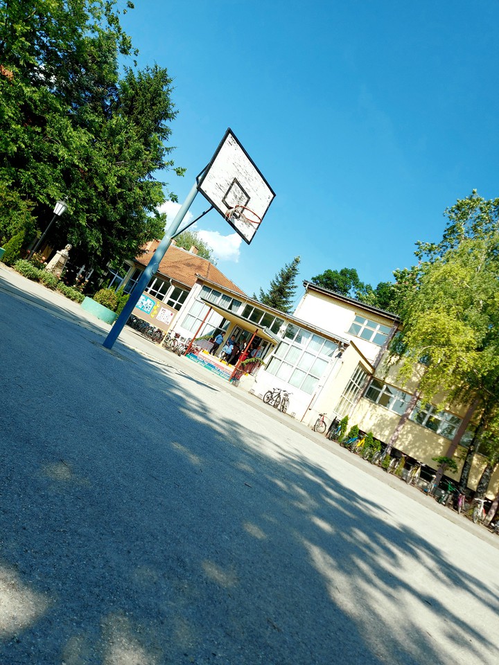 school