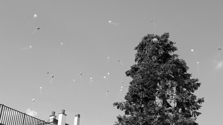 baloons in the sky