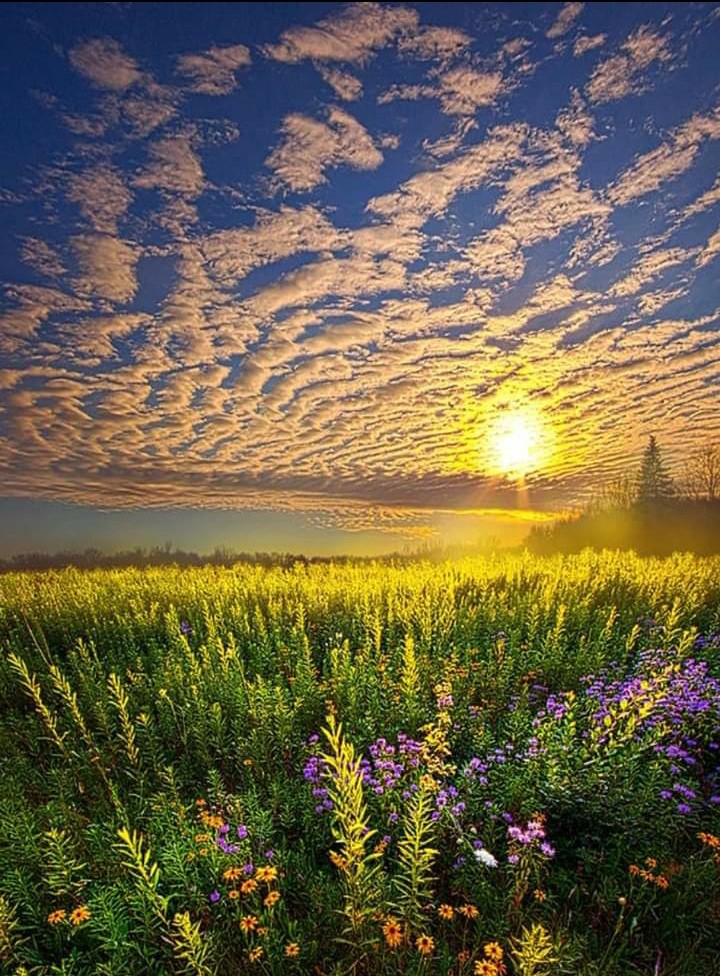 sunrise