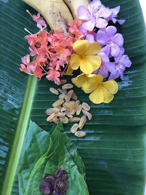Ponggal Celebration