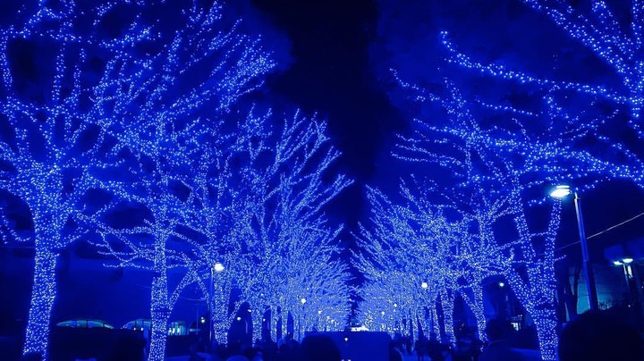 Christmas alley