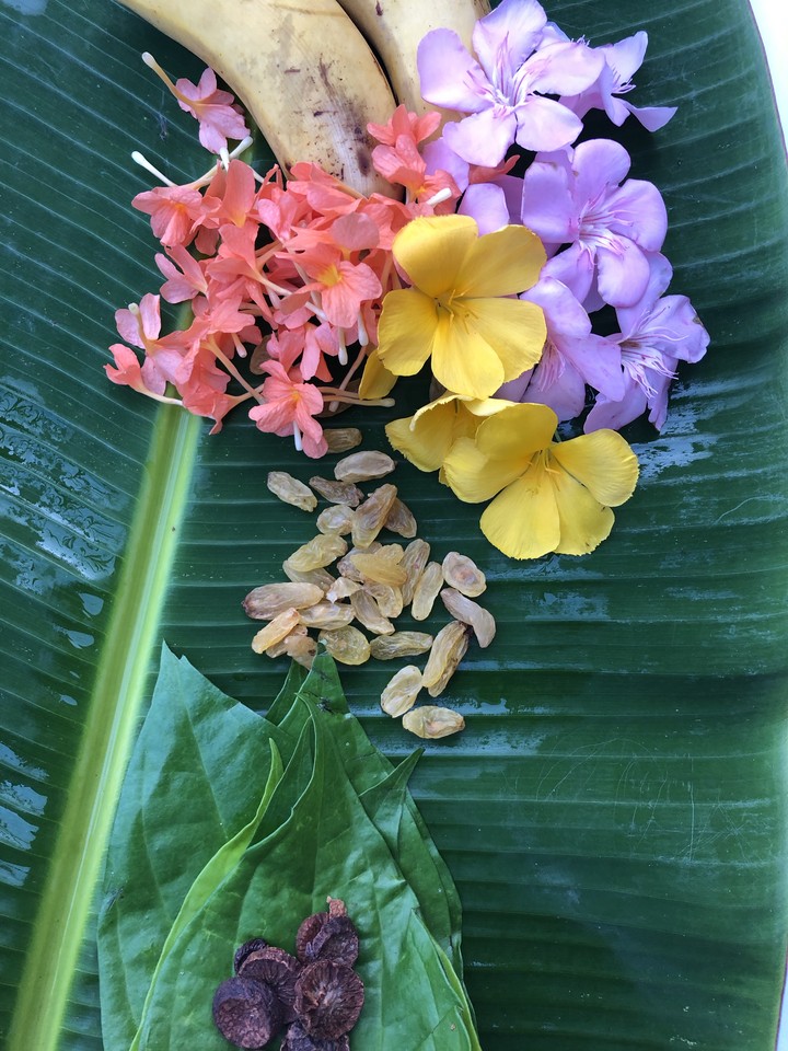 Ponggal Celebration