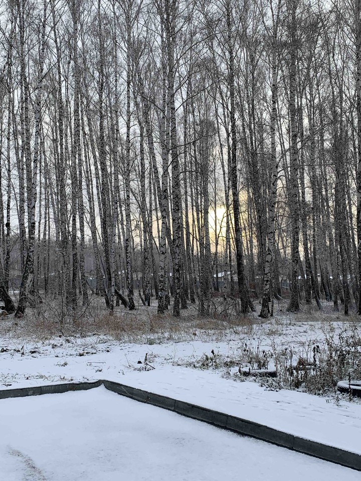 Зимушка наступает❄️