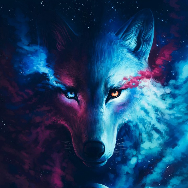 wolf