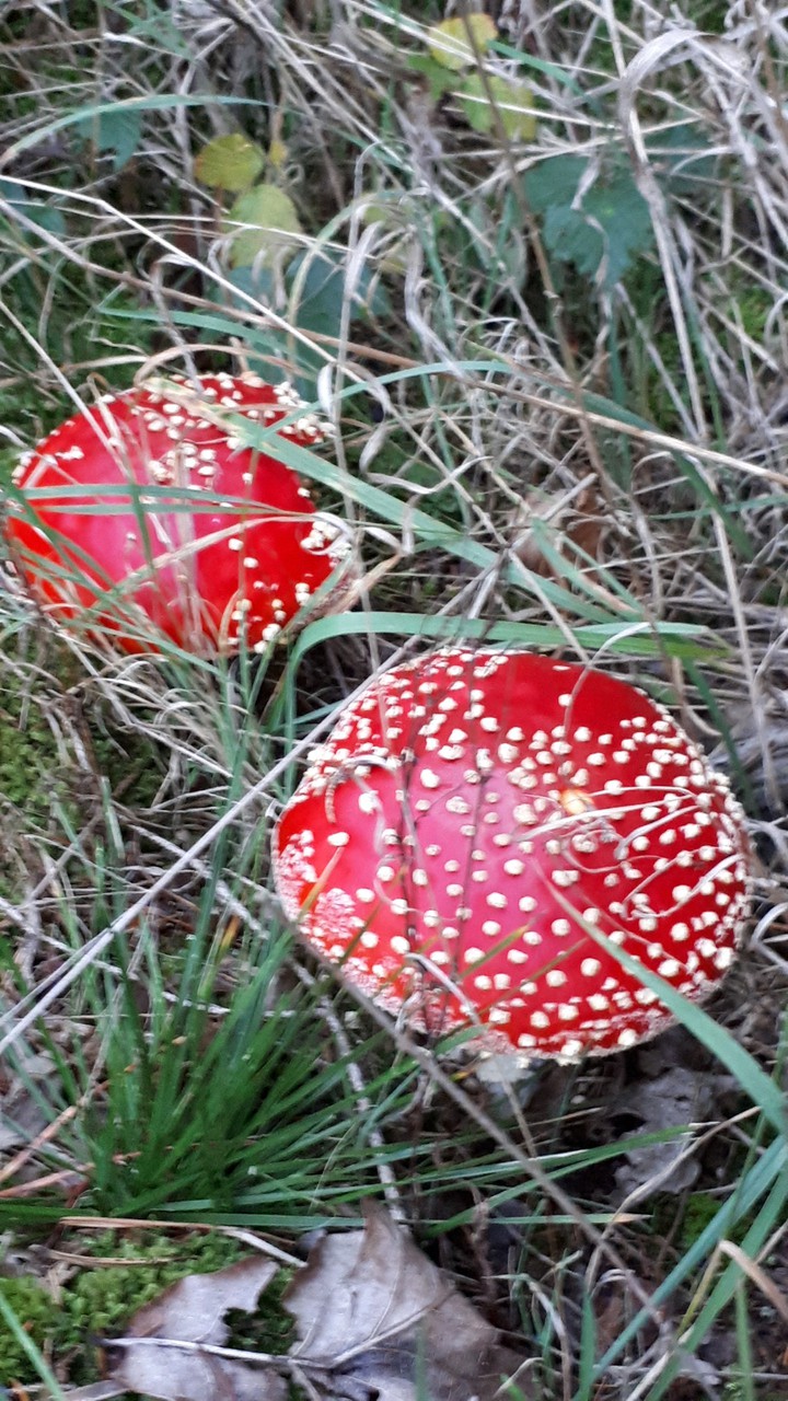?