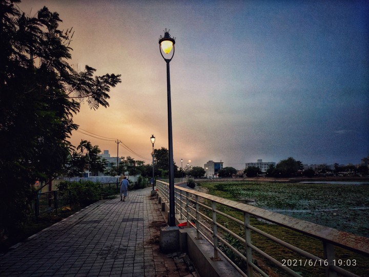 skyway