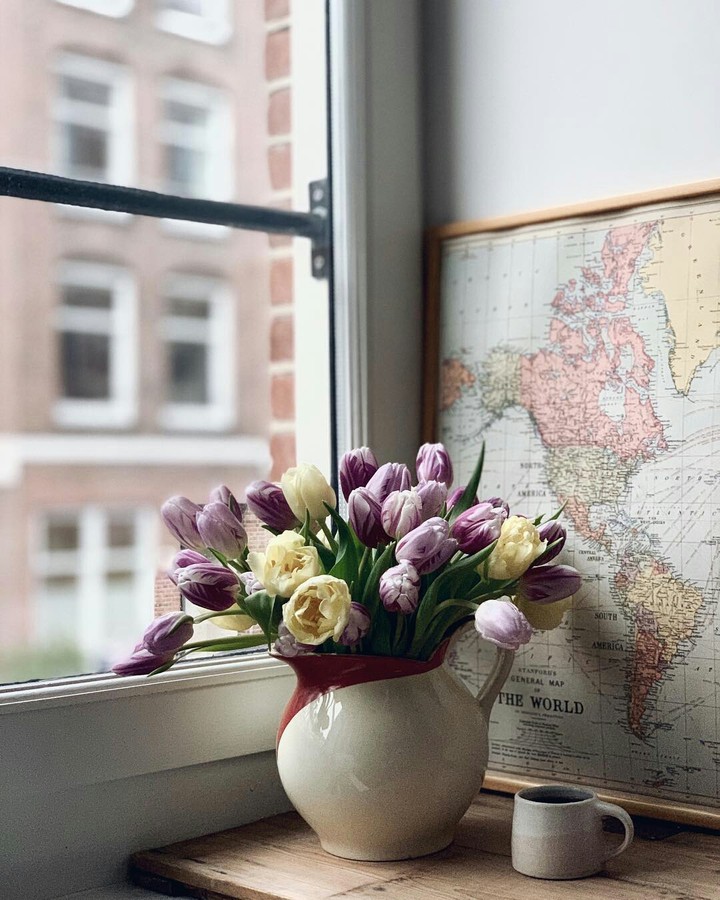 Spring tulips ❤