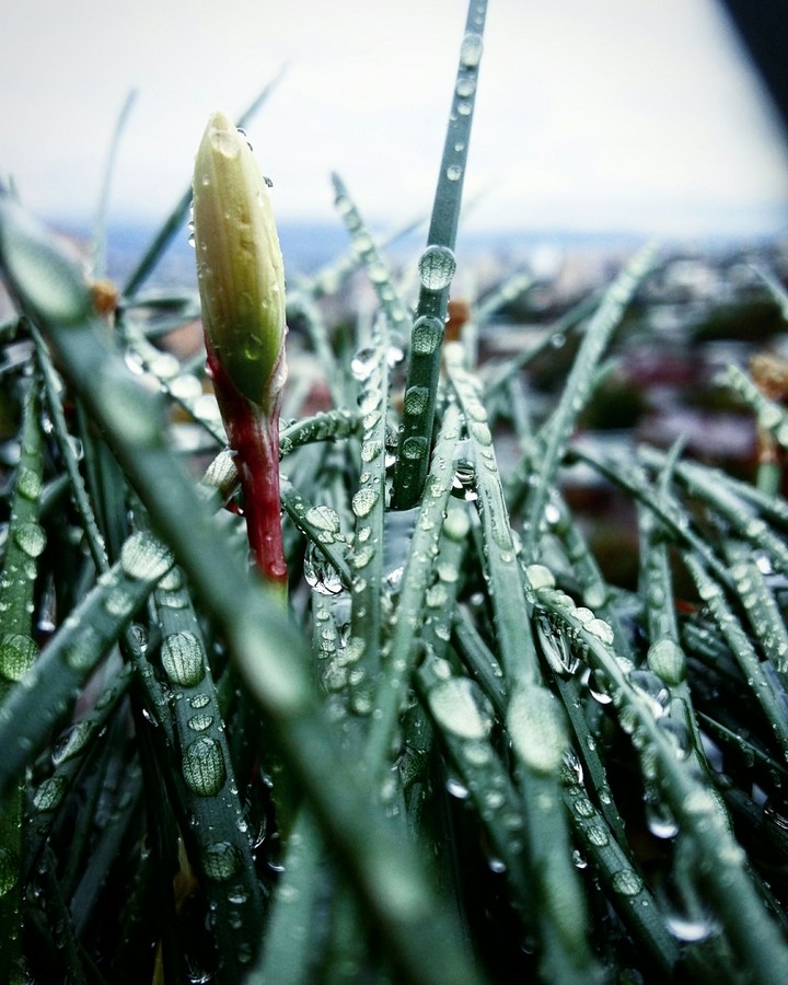 rainy days are amazing