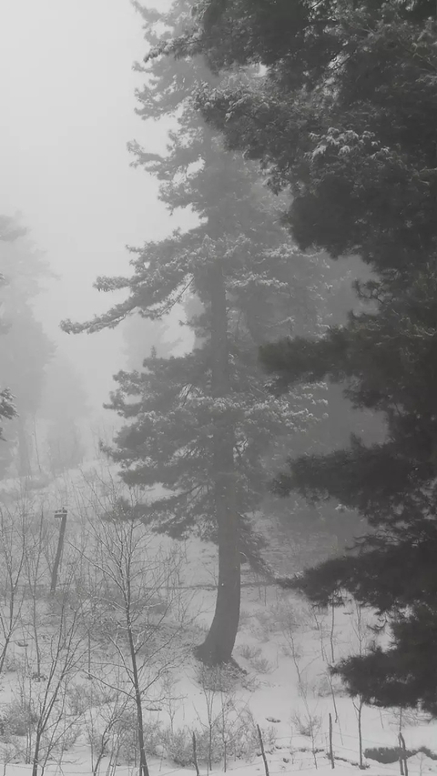 Winter it is