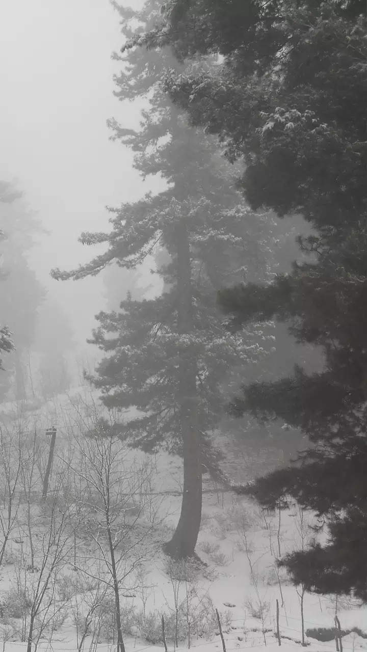 Winter it is