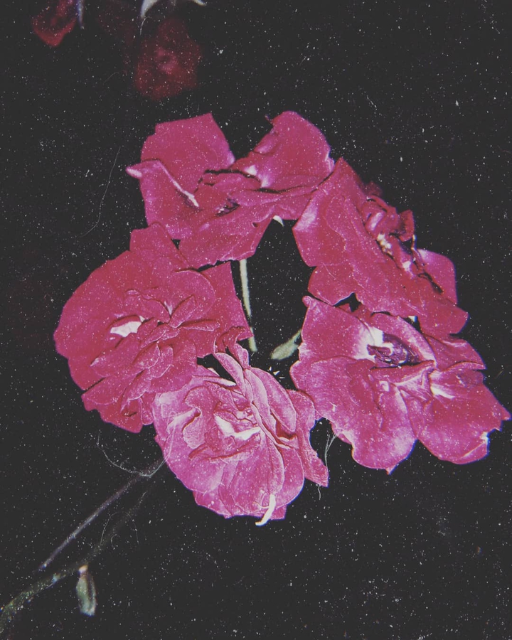 Rouge