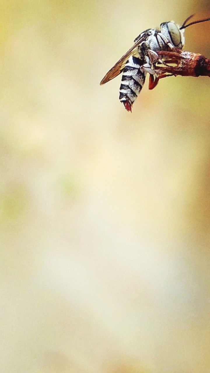 hi.