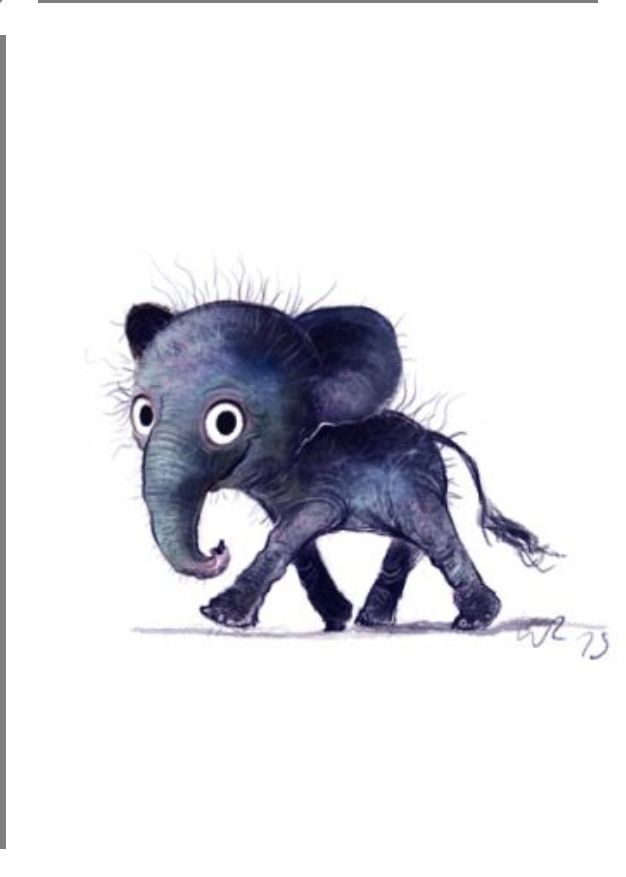 Baby elephant