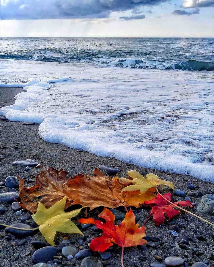Чёрное море