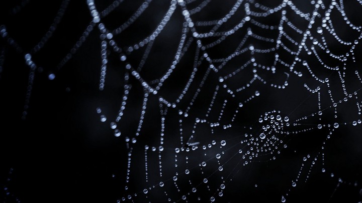 drops