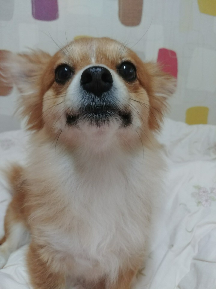 누구 없쏘??