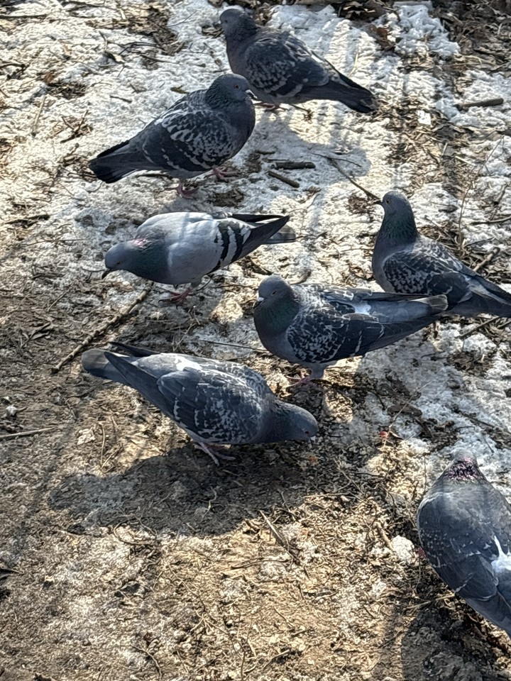.