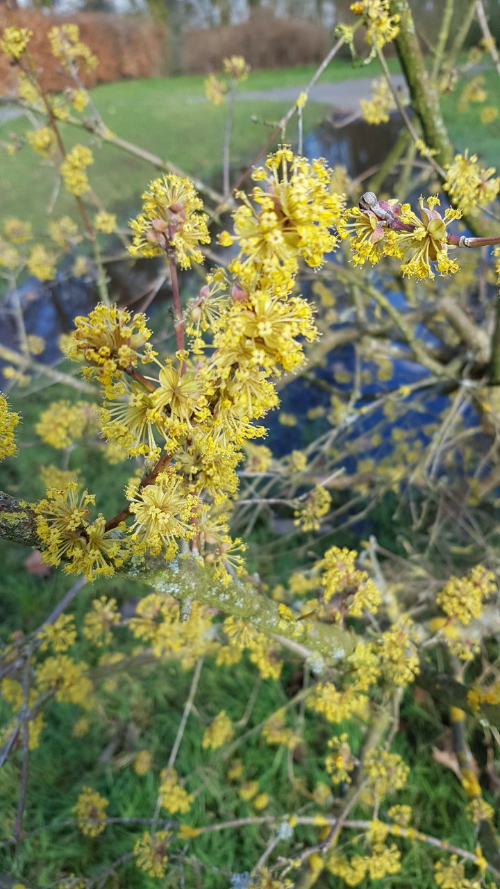 Frühling