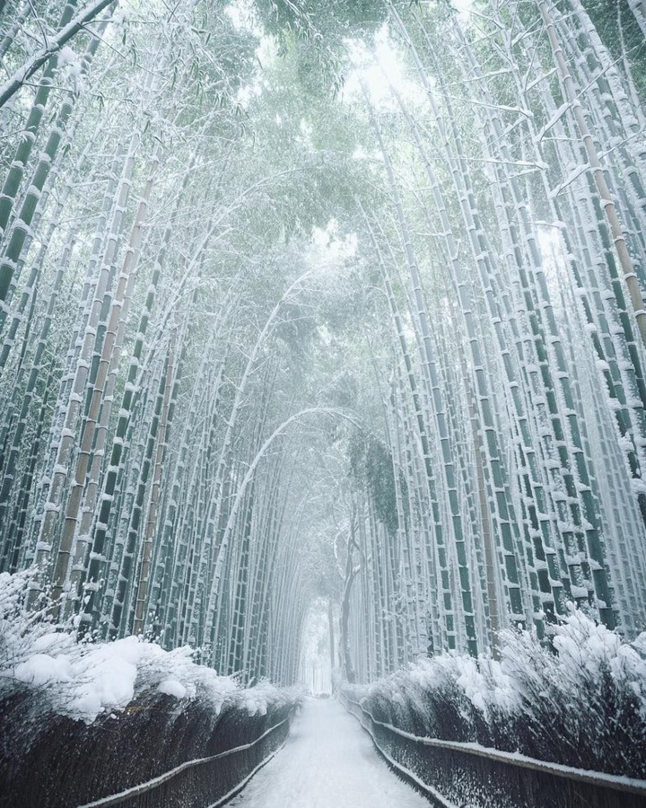kioto-japan