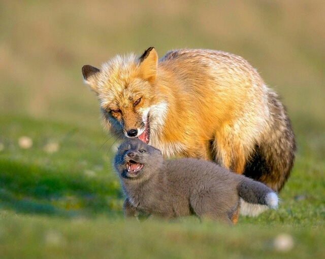 Mother and child