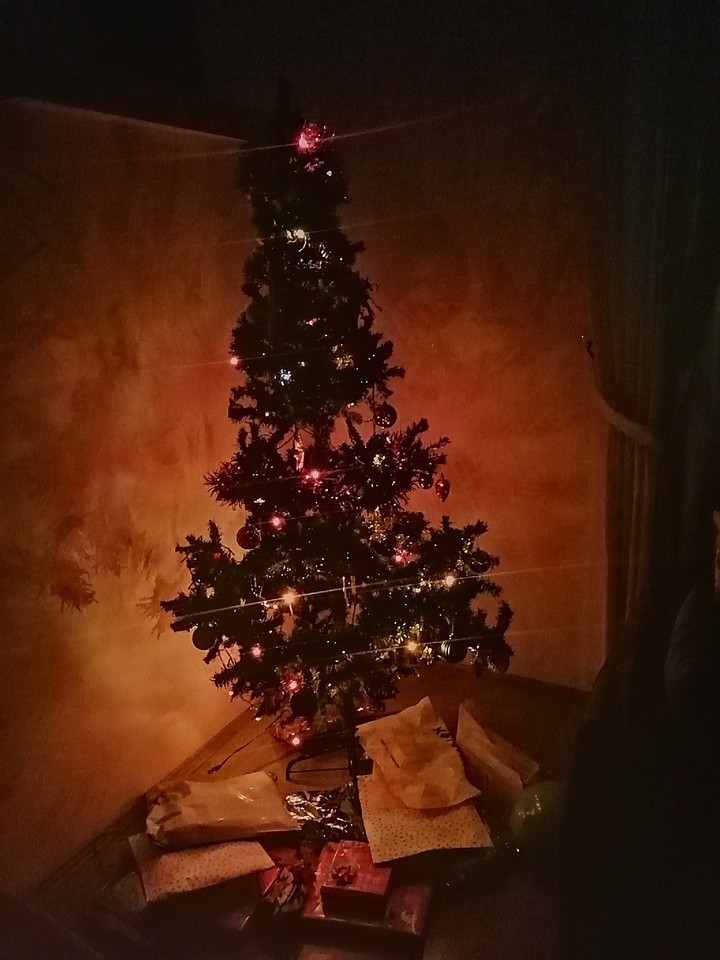 christmas tree
