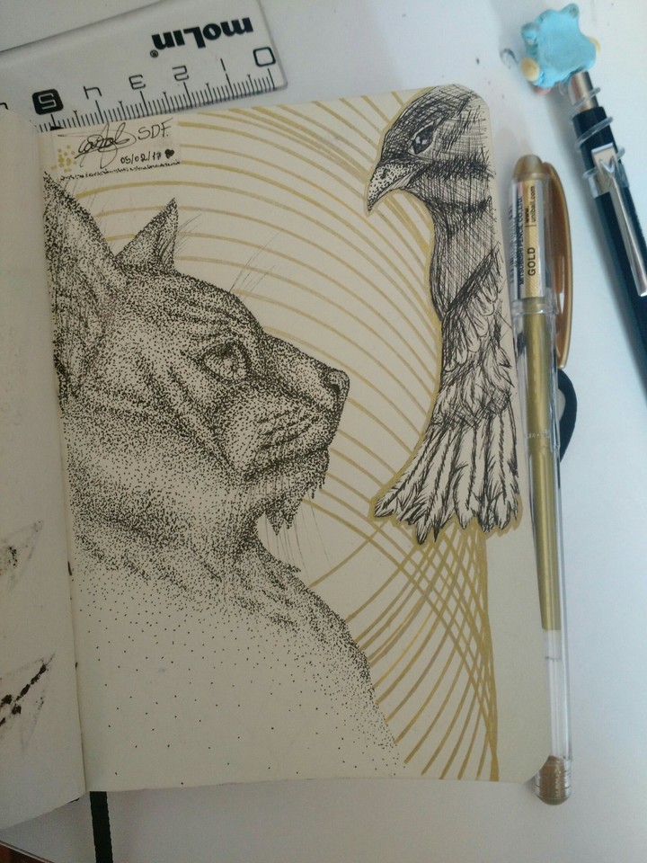 Cat draw