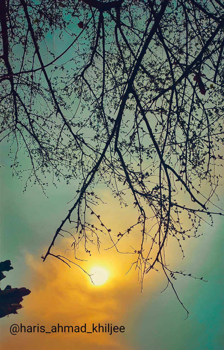 Sunset ?