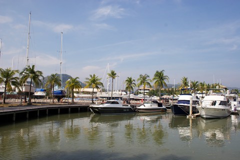 Scenics