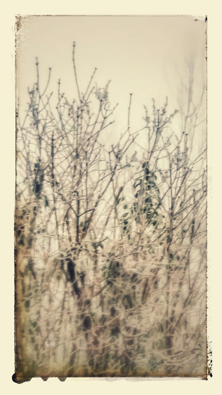 givre