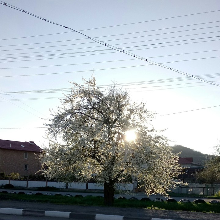 sun goes down