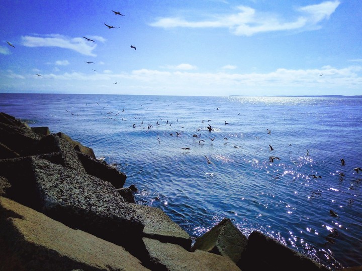 Veracruz, puerto