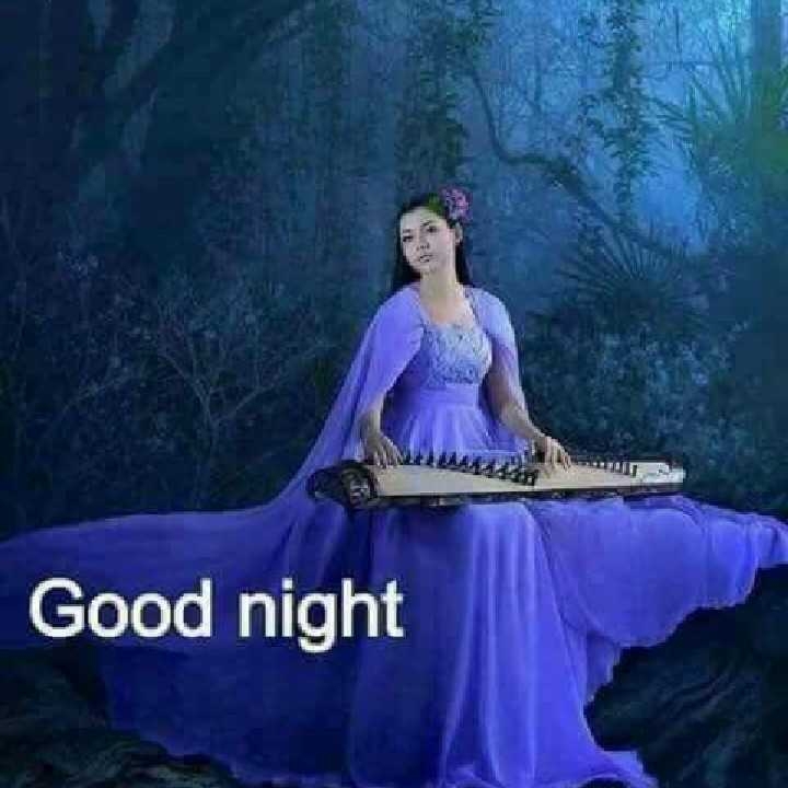 good night