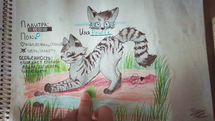 кот