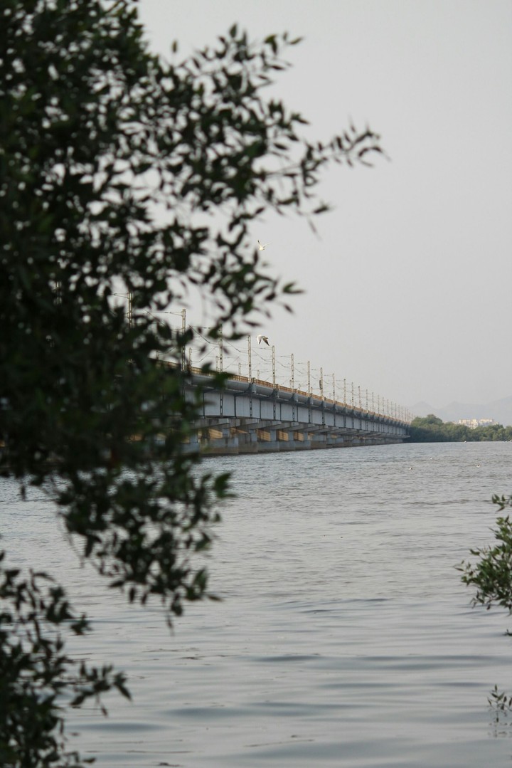 Bridge