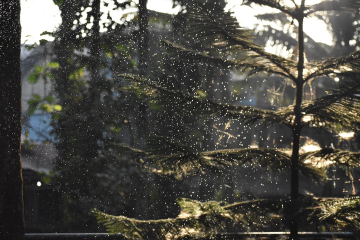 splash