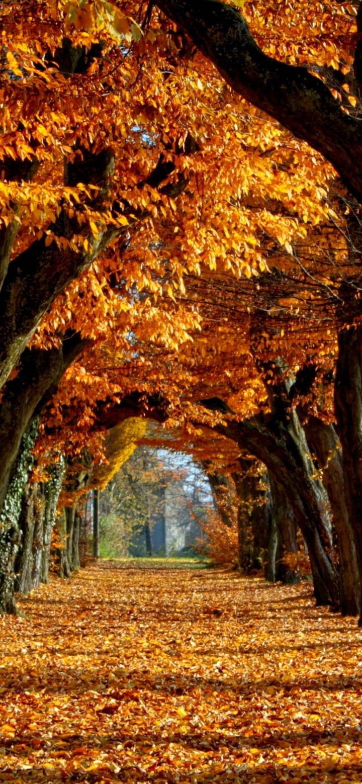 autumn