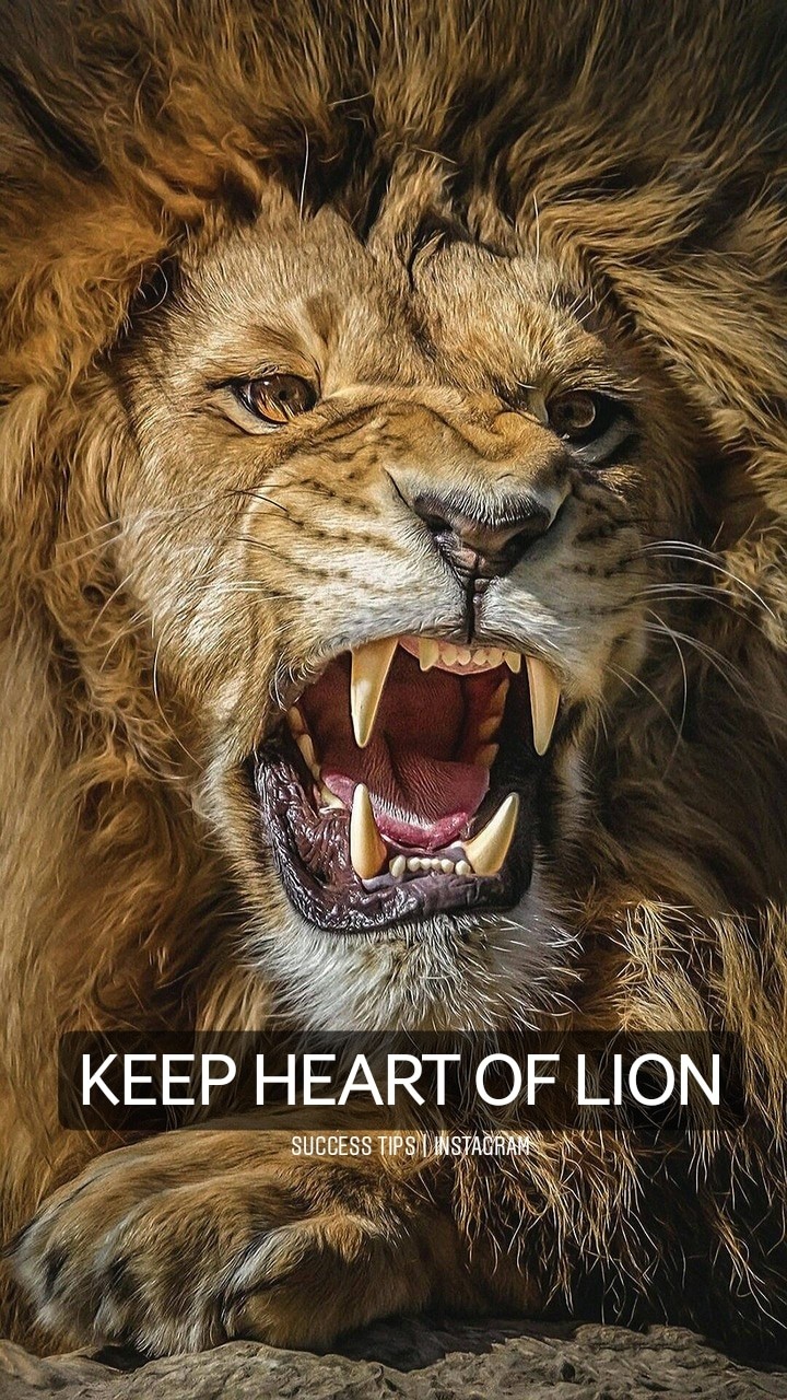 Lion Heart