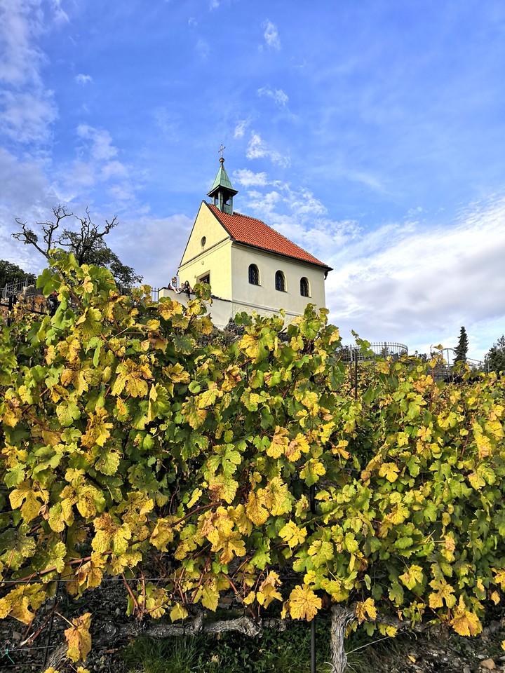 Wineyard St. Claire (Sv. Klára) Prague