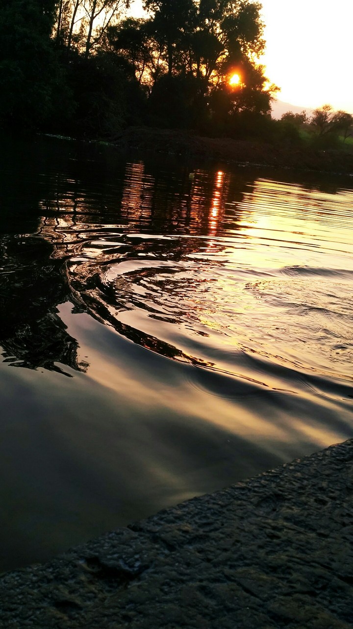 golden water