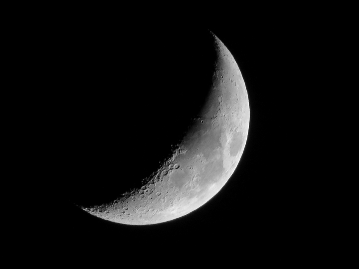 The moon
