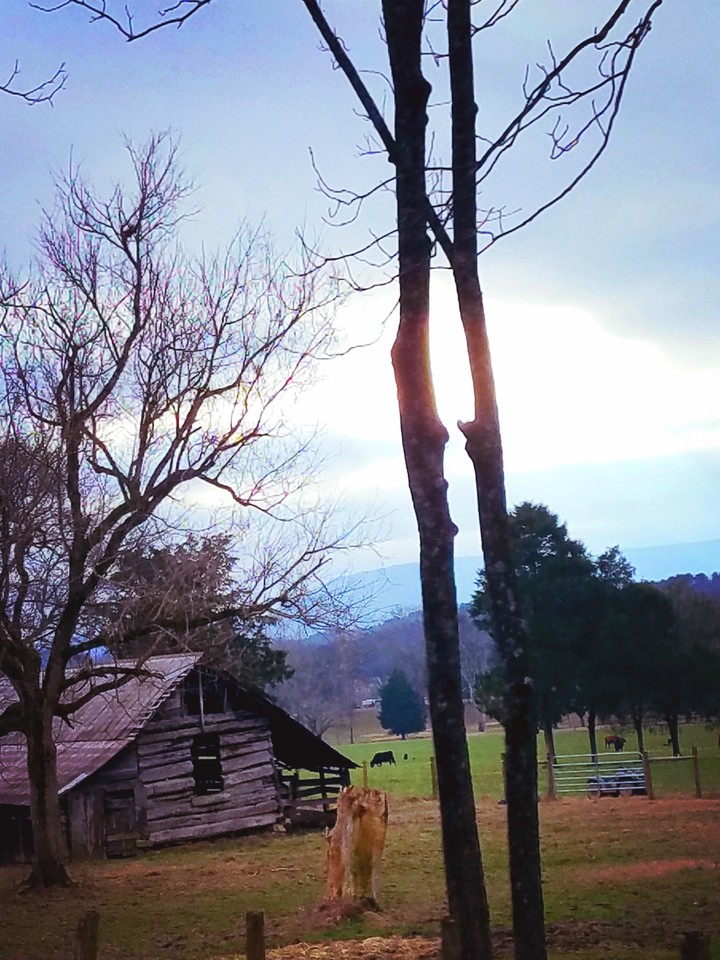 a drive in the country!
