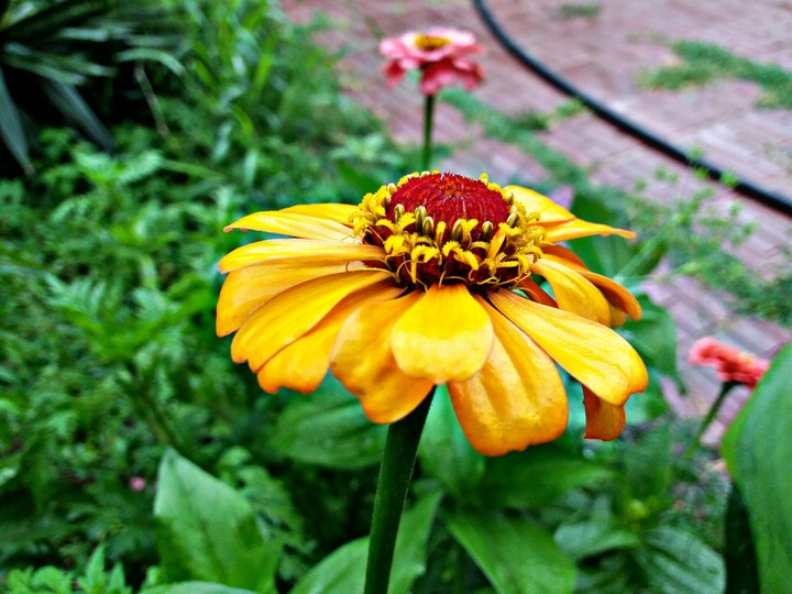 A beautiful photo from the summer