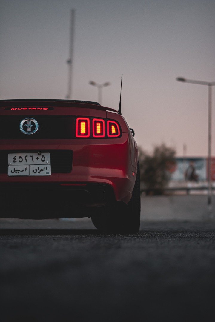 mustang